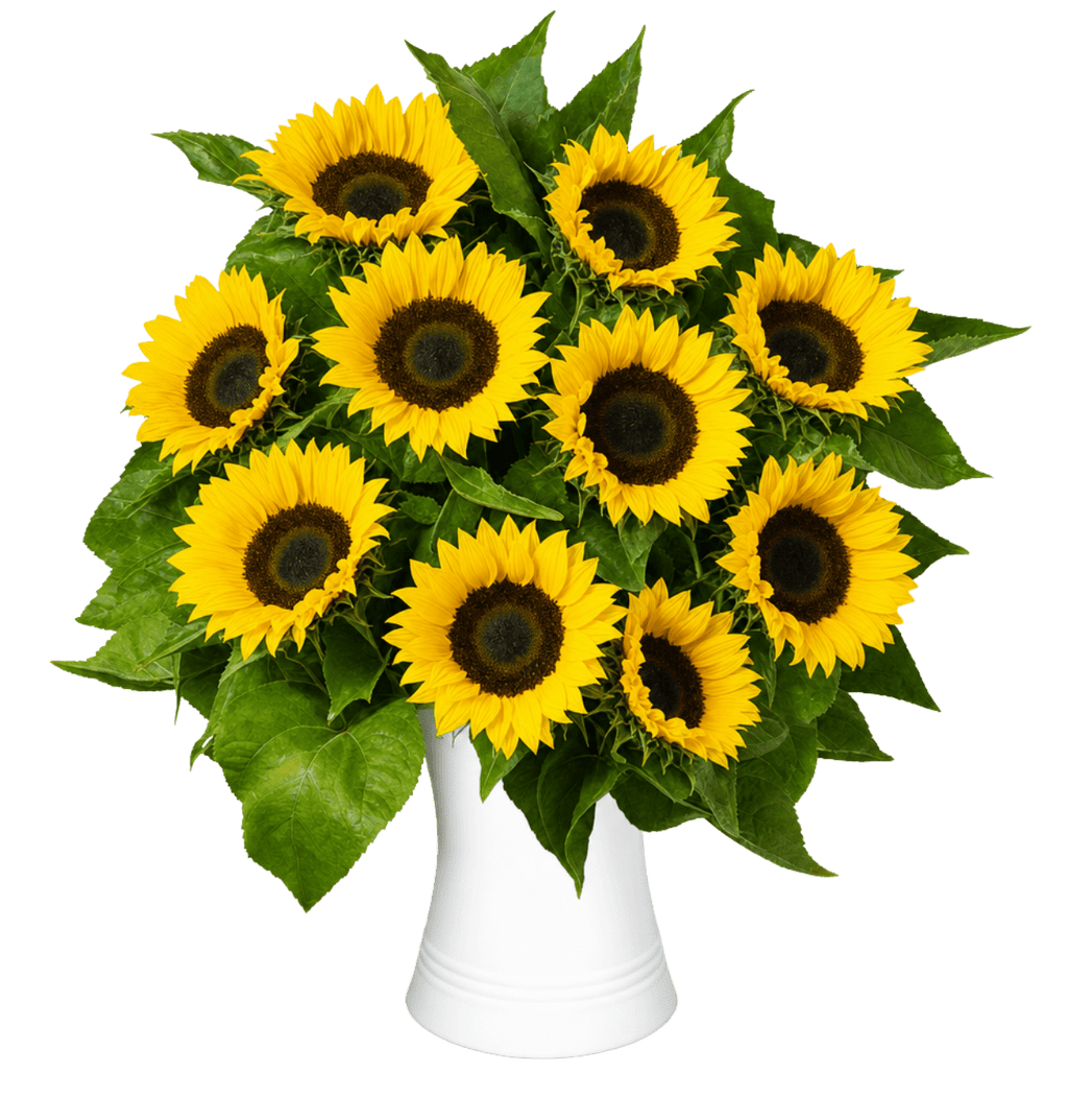 Sonnenblumenstrauß | 10 Sonnenblumen