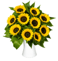 Sonnenblumenstrauß | 10 Sonnenblumen