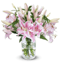 Lilienstrauß in Pink | 15 Stiele