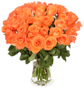 40 orange Rosen | leuchtender Rosenstrauß