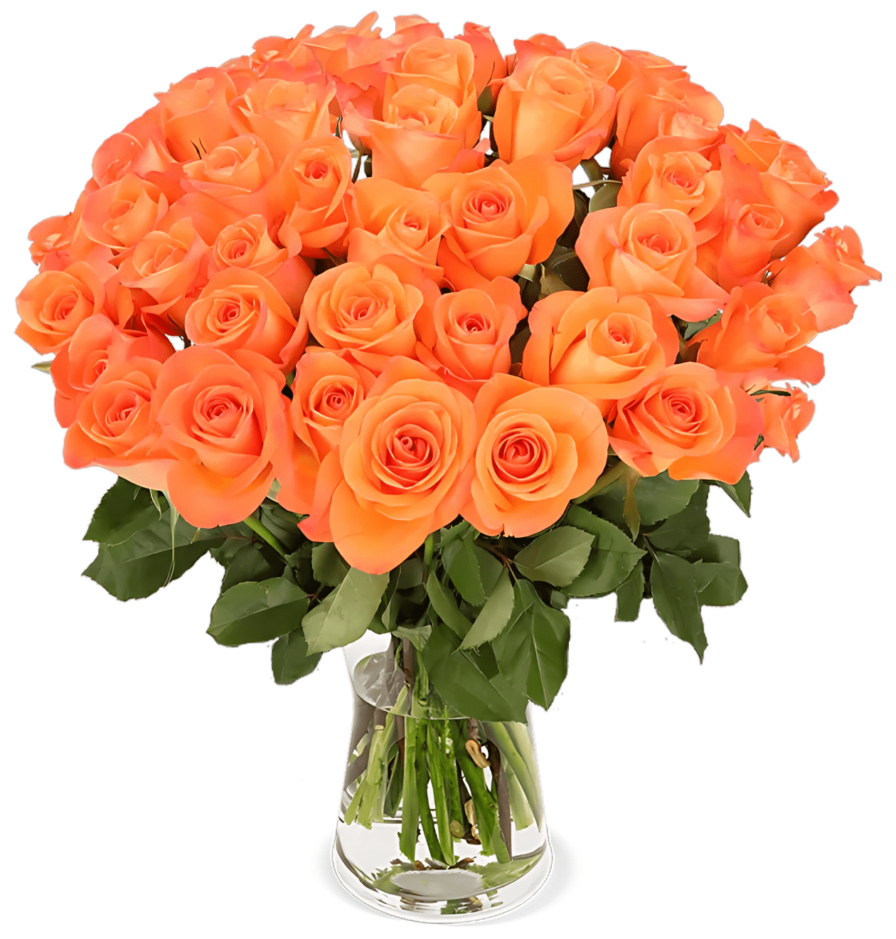40 orange Rosen | leuchtender Rosenstrauß