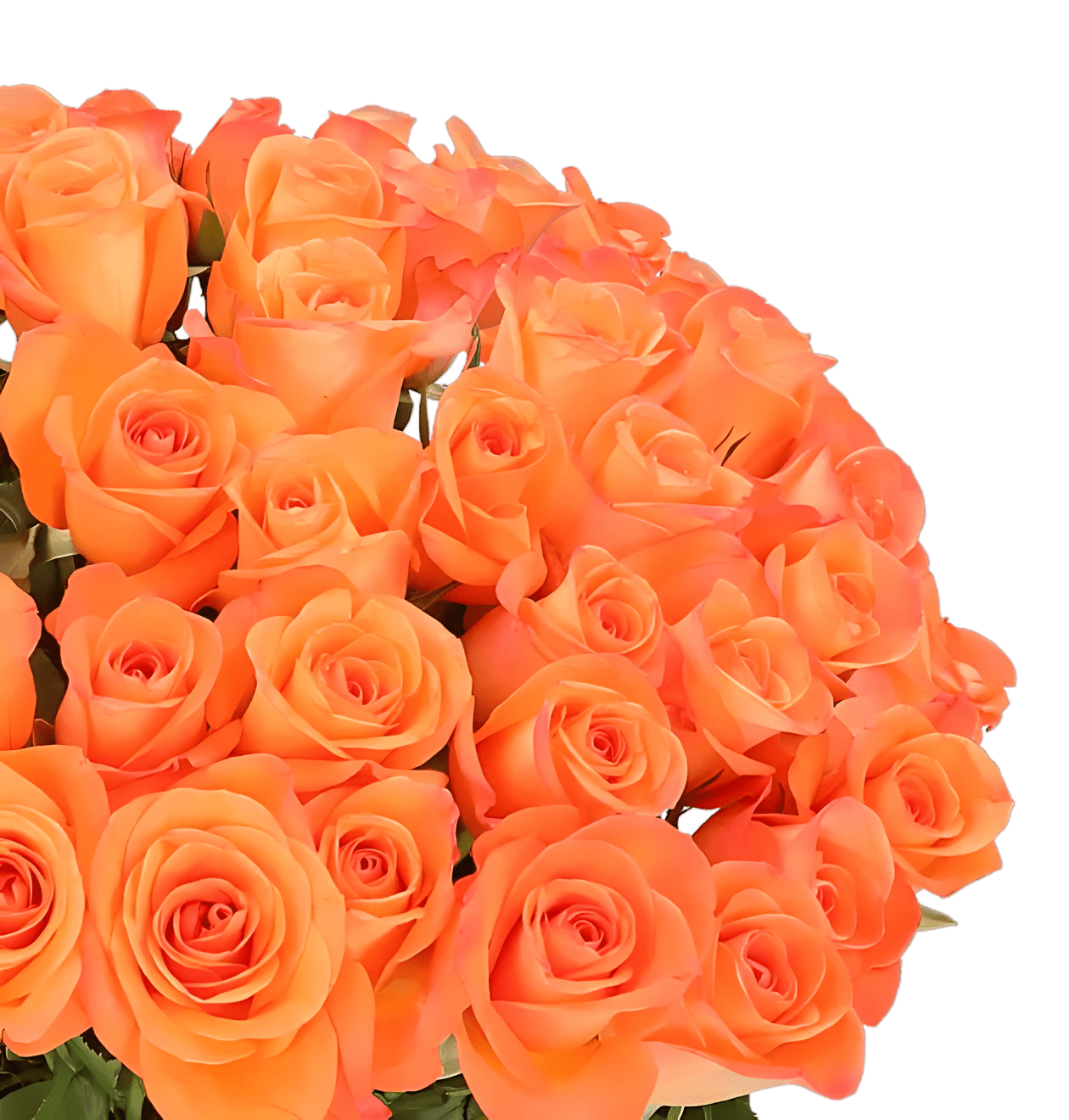 40 orange Rosen | leuchtender Rosenstrauß