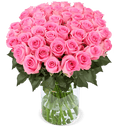 40 pinke Rosen | Rosenstrauß in Pink
