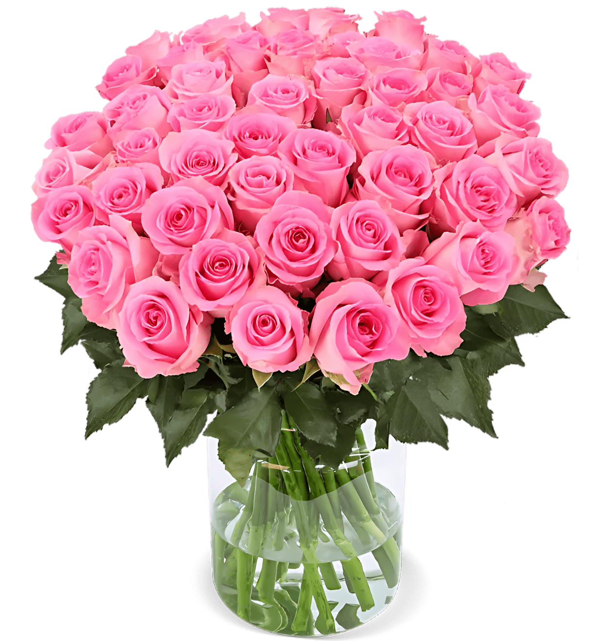 40 pinke Rosen | Rosenstrauß in Pink