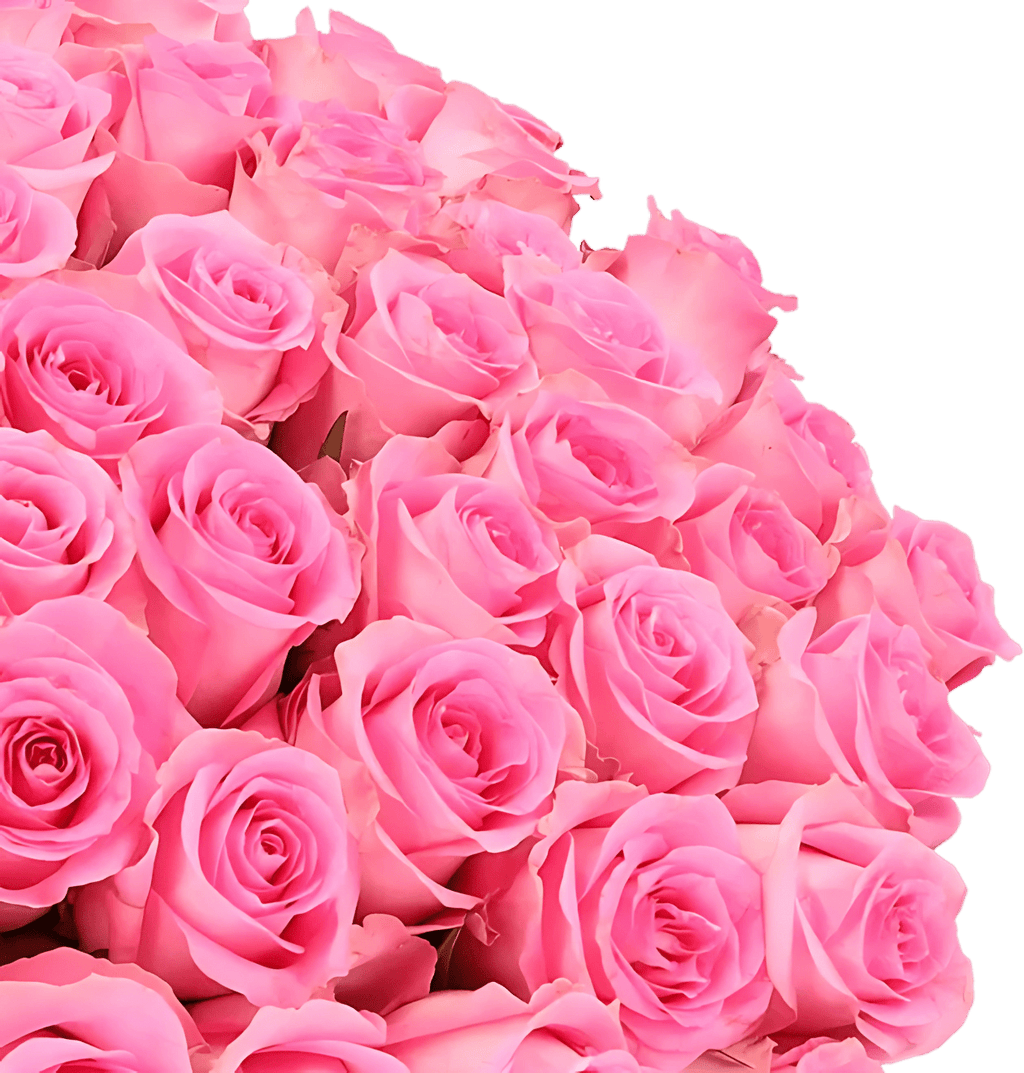 40 pinke Rosen | Rosenstrauß in Pink
