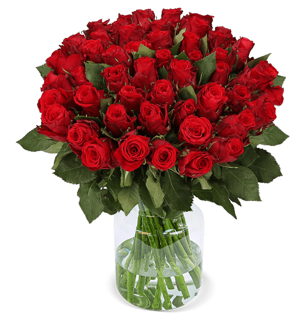 50 rote Rosen | XXL Rosenstrauß
