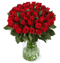 50 rote Rosen | XXL Rosenstrauß