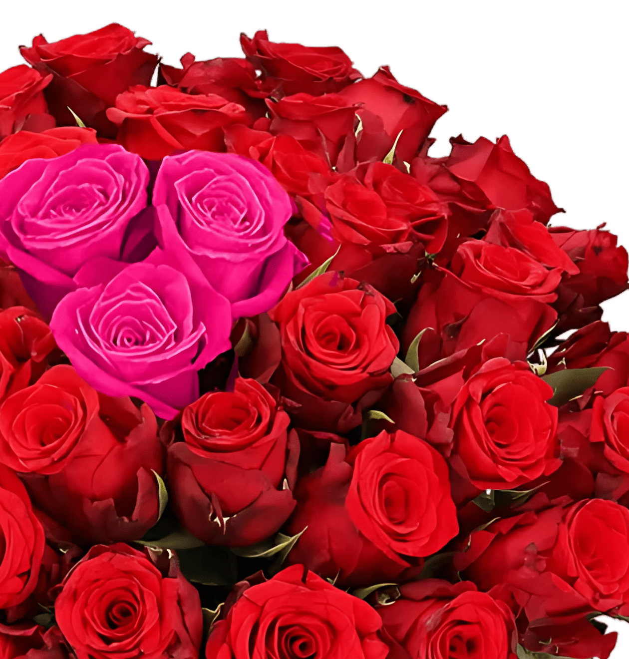 60 Rosen „Herzschlag“ | Rosenstrauß in Rot & Pink mit Rosenherz