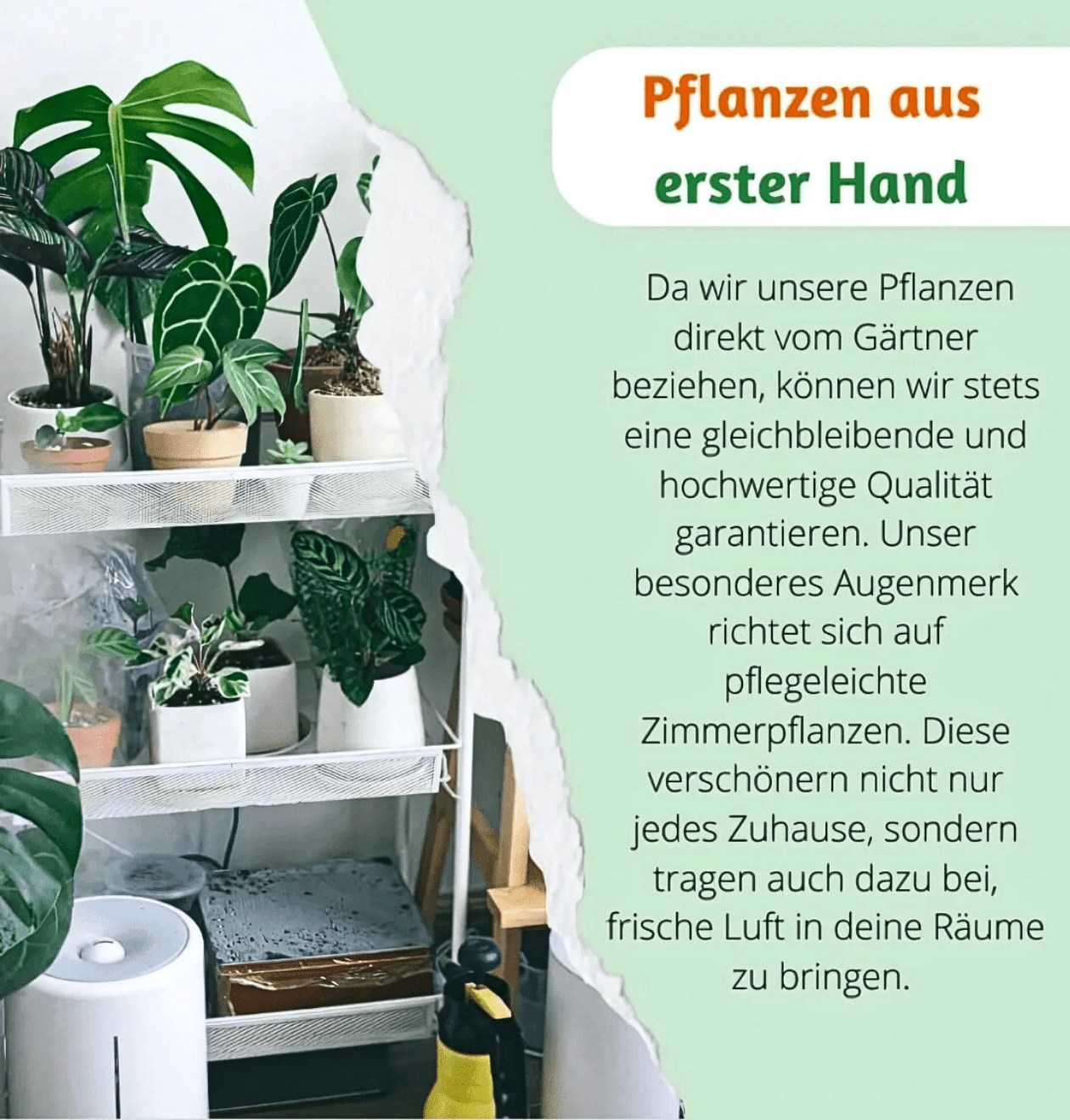 Überraschungsbox | 6 Artikel aus unserem Sortiment