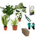 Einsteiger-Set „Pflegeleicht“ | 4 Zimmerpflanzen + Zubehör | ca. 30-60 cm | Ø 12-15 cm Topf