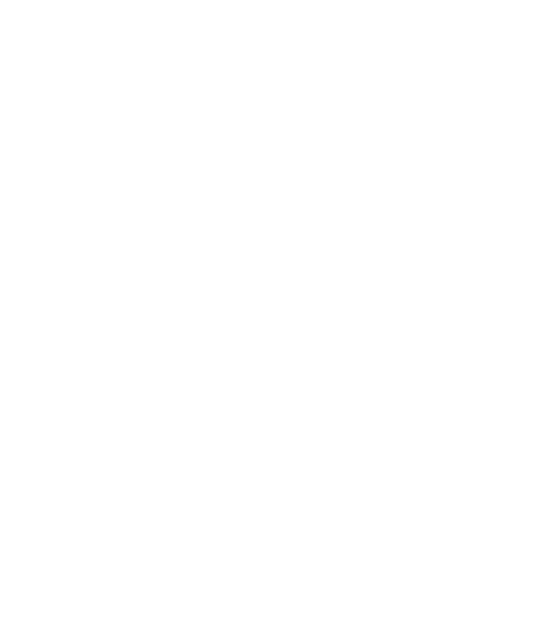 Gerardus Braas